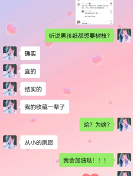 情人节送树枝什么梗3