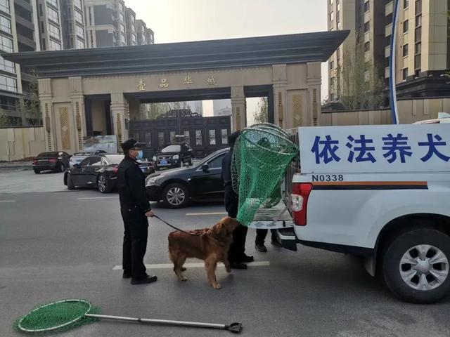 辽宁朝阳警方开展不文明养犬专项整治行动