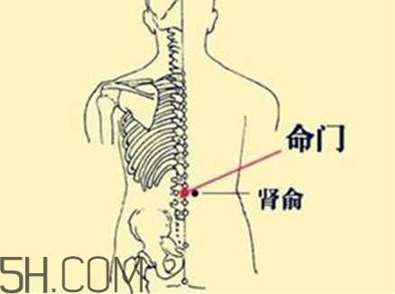 小腿抽筋可以跑步吗？小腿抽筋可以拔火罐吗