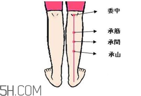 小腿抽筋可以跑步吗？小腿抽筋可以拔火罐吗