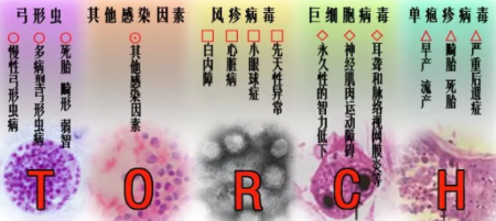 宝宝在子宫内不长了怎么回事 胚胎停育的原因