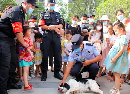 如何让狗狗成为一只有素质的小伙伴？郑州警察手把手教市民养犬