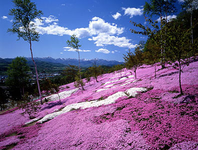 北海道旅游概况