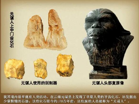 我国境内最早的人类是哪国人，云南元谋人距今170万年(远超蓝田人)