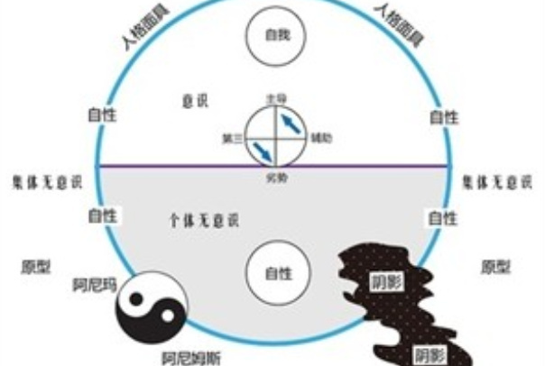 荣格人格理论：(将人格分为意识个人无意识集体无意识)