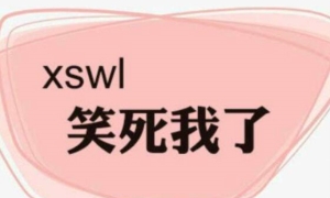 00后流行的drl网络用语，意思是打扰了（拼音首字母缩写）