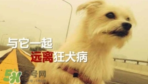 狂犬病能治好吗？狂犬病的早期症状