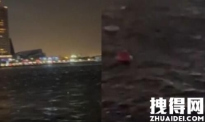 台湾6.5级地震 水中鱼群跃出水面