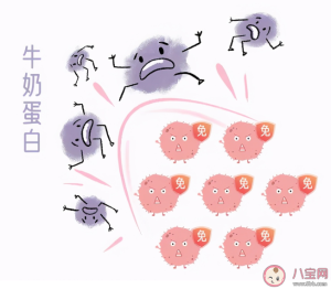 牛奶蛋白过敏和乳糖不耐受区分重点 区别如何解决