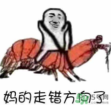 说人皮皮虾是什么意思？女生叫男生皮皮虾什么意思？