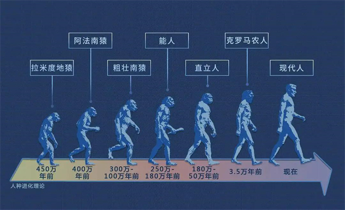 给钱就可以带回家的老婆 最暴躁的相亲方式（新娘市场）