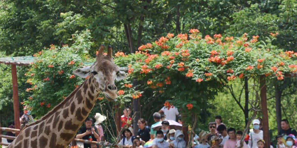 山东旅游景点大全景点排名（10个山东游玩必去的地方）