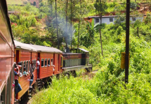 全地球最最美的火车，全程既走高山又跨大海，比旅行还过瘾  