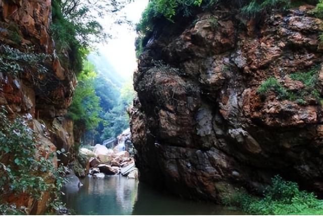 伏羲山大峡谷景区门票购买（河南伏羲山大峡谷值得）(2)