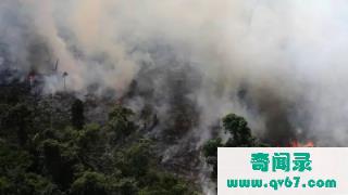 亚马逊大火：亚马逊雨林不会被烧光，亚马逊雨林但会因火而死不敢公布的秘密是什么？