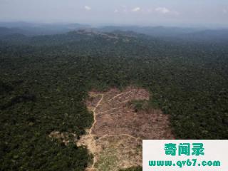 亚马逊大火：亚马逊雨林不会被烧光，亚马逊雨林但会因火而死不敢公布的秘密是什么？