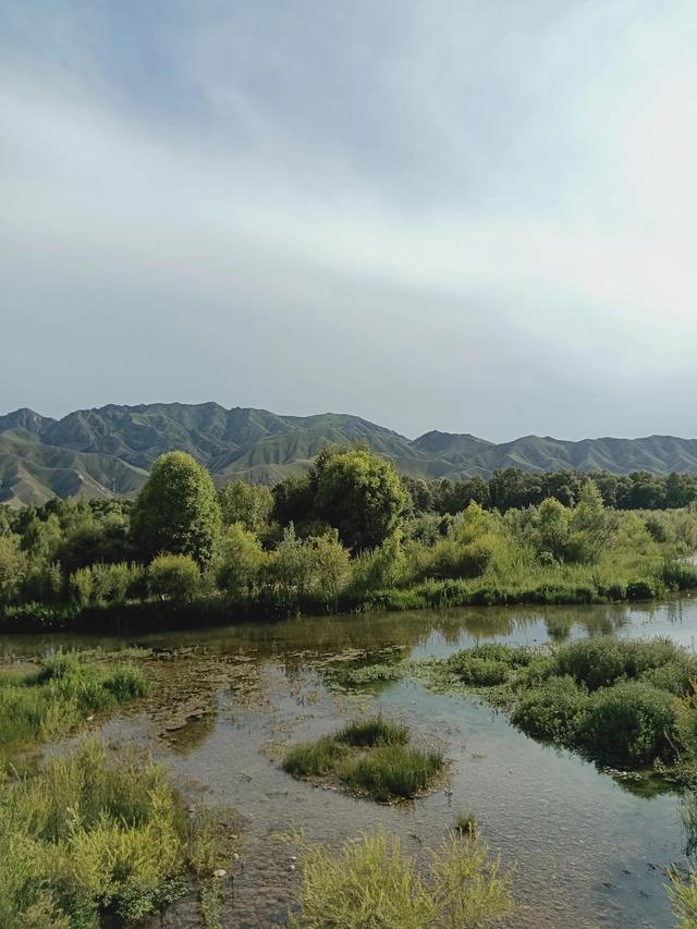 画幅关于夏天的画（夏日几画图）(1)