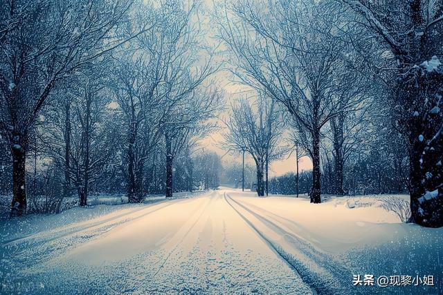 下雪的文案发朋友圈的句子（适合下雪天发朋友圈的绝美文案句子）(1)