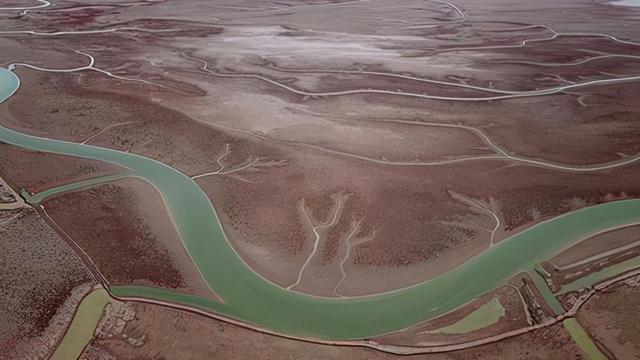 黄河入海口之后的旅游攻略（黄河入海口在哪个海）(7)