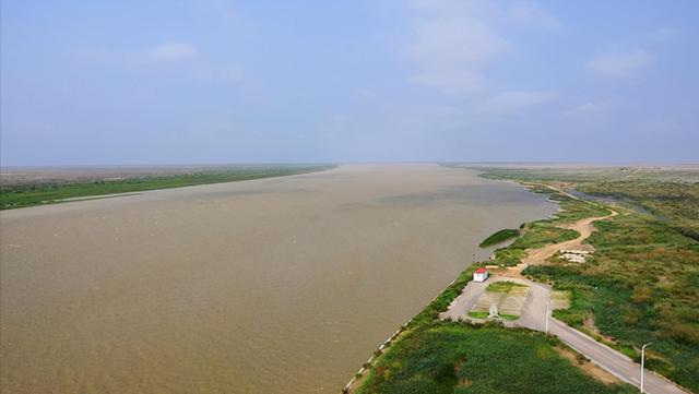 黄河入海口之后的旅游攻略（黄河入海口在哪个海）(2)