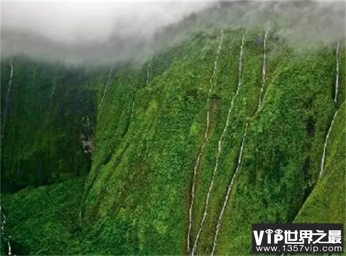 地球最潮湿的地方，一年有325天都在下雨，连被单都长蘑菇了！