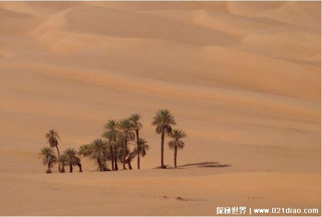  阳光最多的地方是哪 年平均日照高达4300小时撒哈拉大沙漠