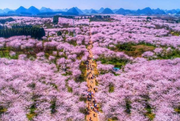 国内适合3月份旅游的地方