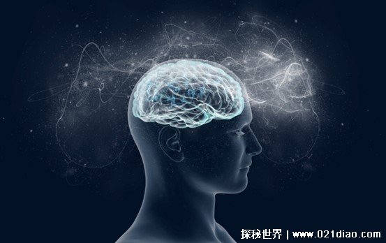  无比庞大的宇宙 是否和大脑结构相似（宇宙与人脑）