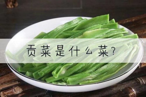 火锅餐桌上的明星食材贡菜究竟是什么菜