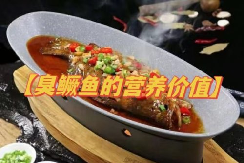 臭鳜鱼的饮食养生价值与适宜人群