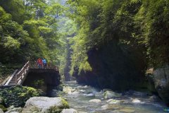 重庆黑山谷原始森林一日游攻略