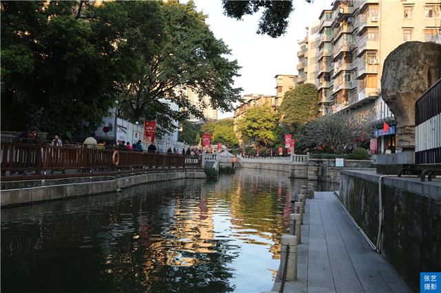 广州荔枝涌，一湾溪水绿，探寻重生的 羊城八景（广州荔枝涌一湾溪水绿）(2)