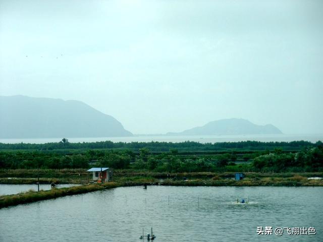 沿海第1站丨杭深线动车初体验，到鼓浪屿吃闽南肠粉（沿海第1站丨杭深线动车初体验）(13)