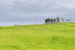 青岛野餐去哪里好