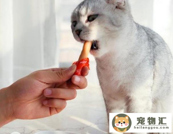 猫咪专吃的火腿肠(猫咪特别爱吃火腿肠)