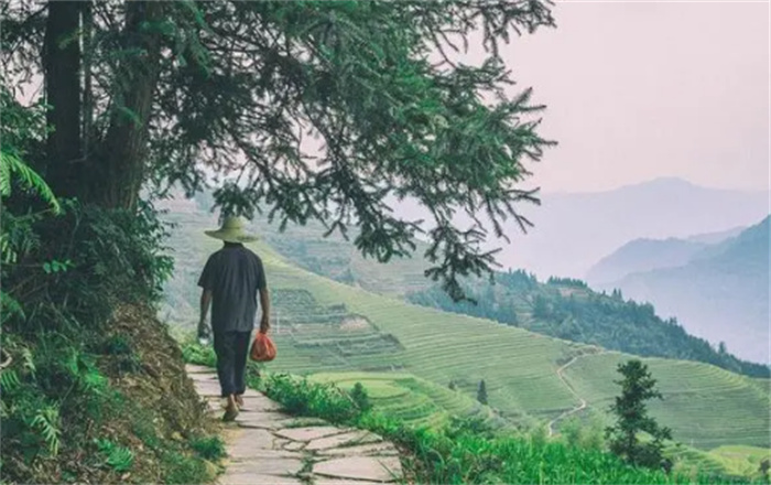 男子每天做梦 在床下发现了棺材（南宋古墓）