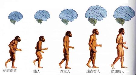 多个全国第一！福州24座跨江大桥你认识几个？