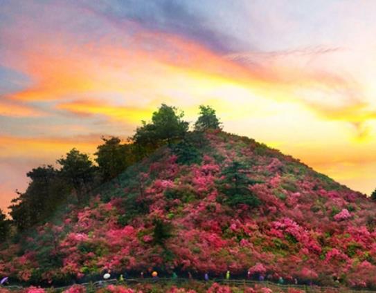 武汉十大名山排行榜，东湖磨山景区六峰相连、木兰山是木兰文化之源