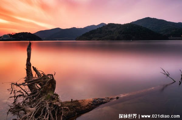 中国最大的沙漠淡水湖（红碱淖）