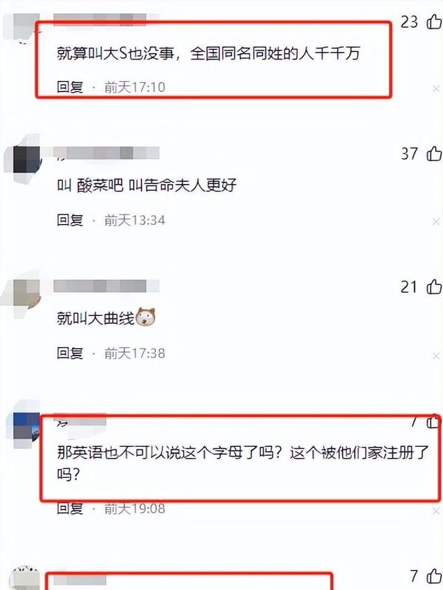 大S的模仿者中S，被告了！强制要求改名。网友们纷纷下海支招！