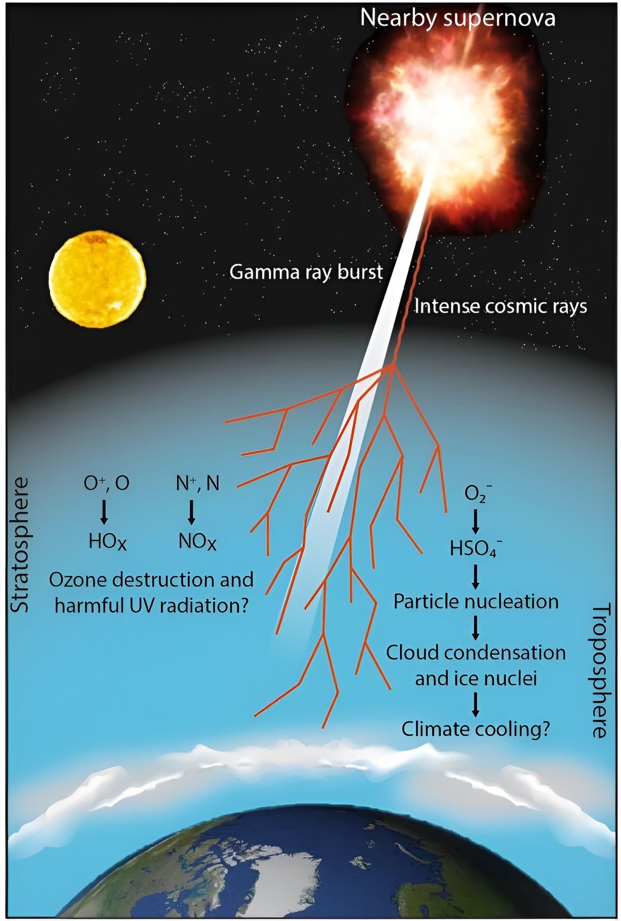 研究表明，地球大气层是我们抵御附近超新星的最佳防御手段