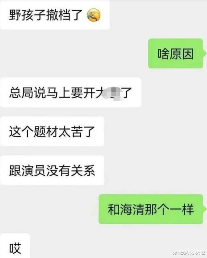 《野孩子》撤档与王俊凯无关，著名编剧公开其撤档的原因