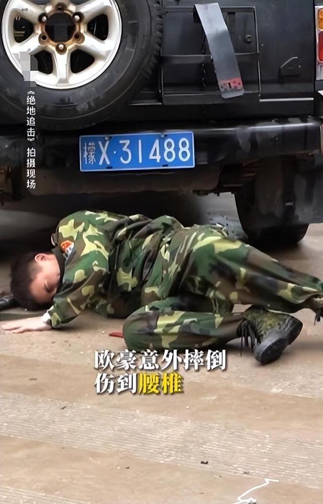 陈道明说的没错，不拍戏就消失的欧豪，已经走上了另外一条道路