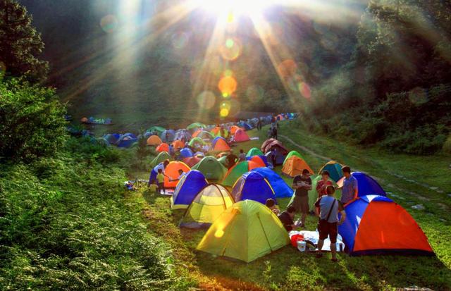 仙女山免费撸狗去仙女山「摇尾」人宠音乐节进入3天倒计时