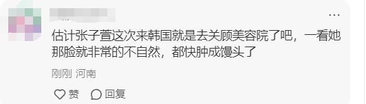 40岁张子萱韩国被偶遇，额头肿胀苹果饥高耸，网友：满脸科技狠活