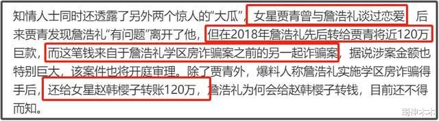 王丽坤老公诈骗案牵连甚广！给贾青赵樱子打过钱，还要帮某冰复出