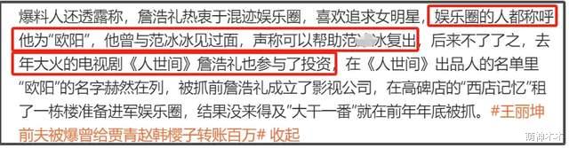 王丽坤老公诈骗案牵连甚广！给贾青赵樱子打过钱，还要帮某冰复出