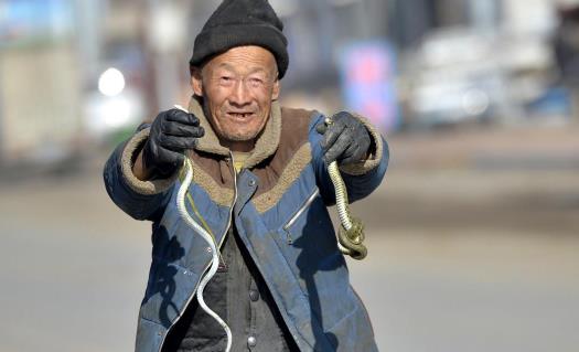 中国第一蛇村 湖州子思桥村（上万条蛇盘踞于此）