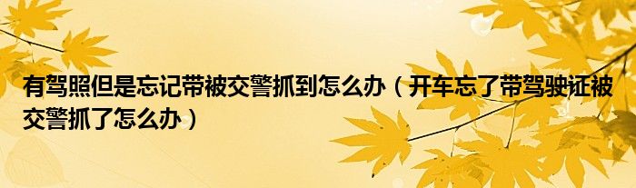 有驾照但是忘记带被交警抓到怎么办（开车忘了带驾驶证被交警抓了怎么办）