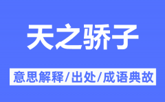 天之骄子的意思解释_天之骄子的出处及成语典故